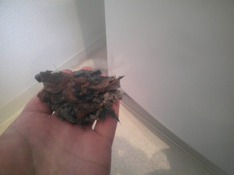 宝塚市　洗濯機の水、床に溢れる